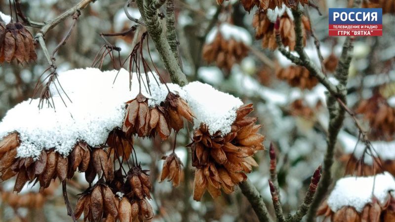 В среду в Кировской области ожидается до  8 градусов
