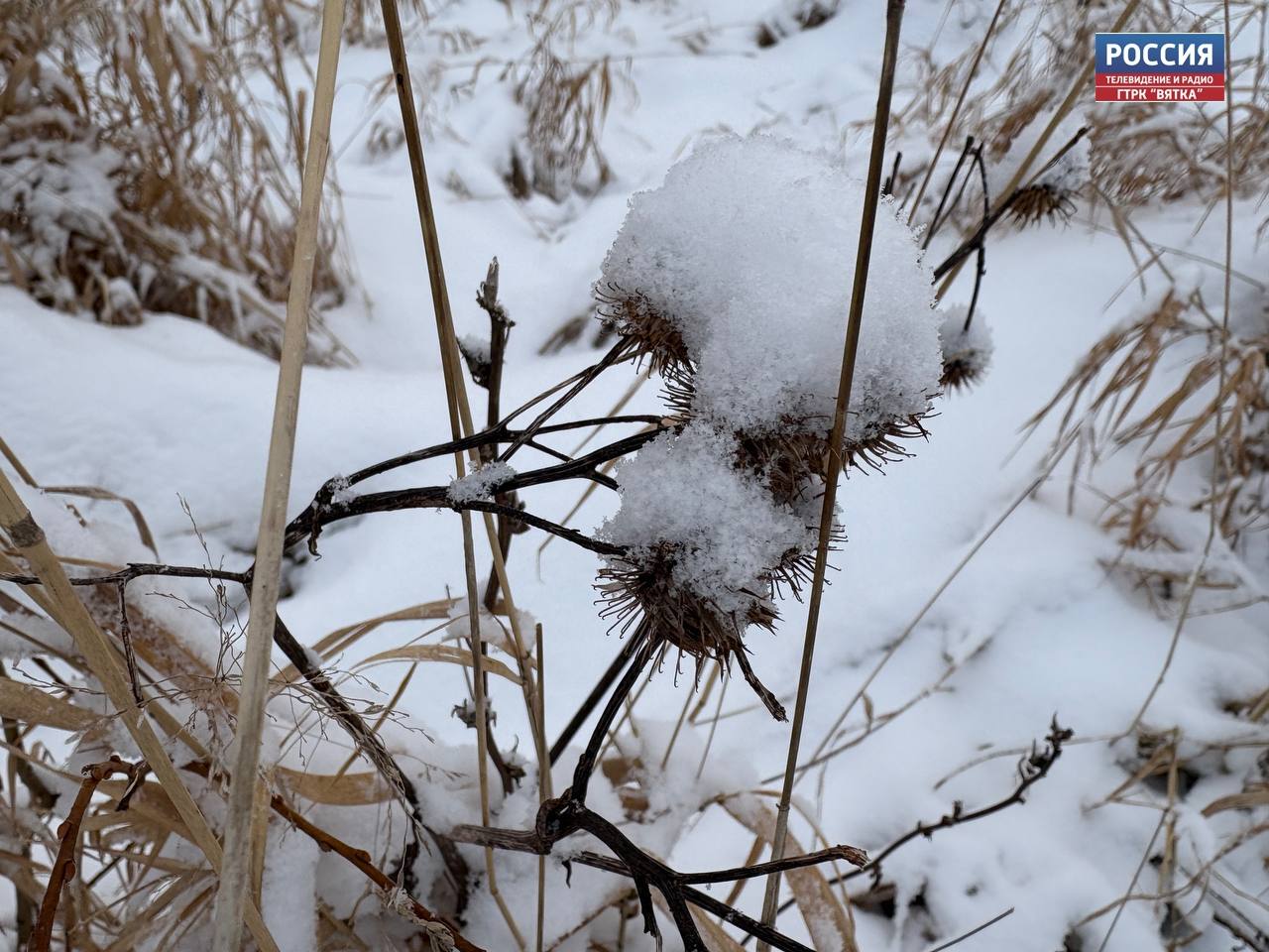 В воскресенье в Кировской области прогнозируют до -18 °C  и порывы ветра до 16 м/с.