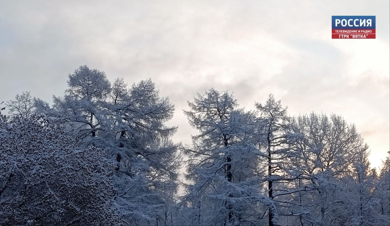 Облачную погоду и небольшой снег прогнозируют в Кировской области