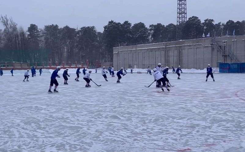 Хоккейная команда «Родина» одержала победу в матче в Казани