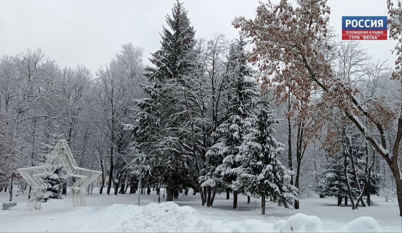 Небольшой снег и -12 °C прогнозируют в последний день 2025 года в Кирове