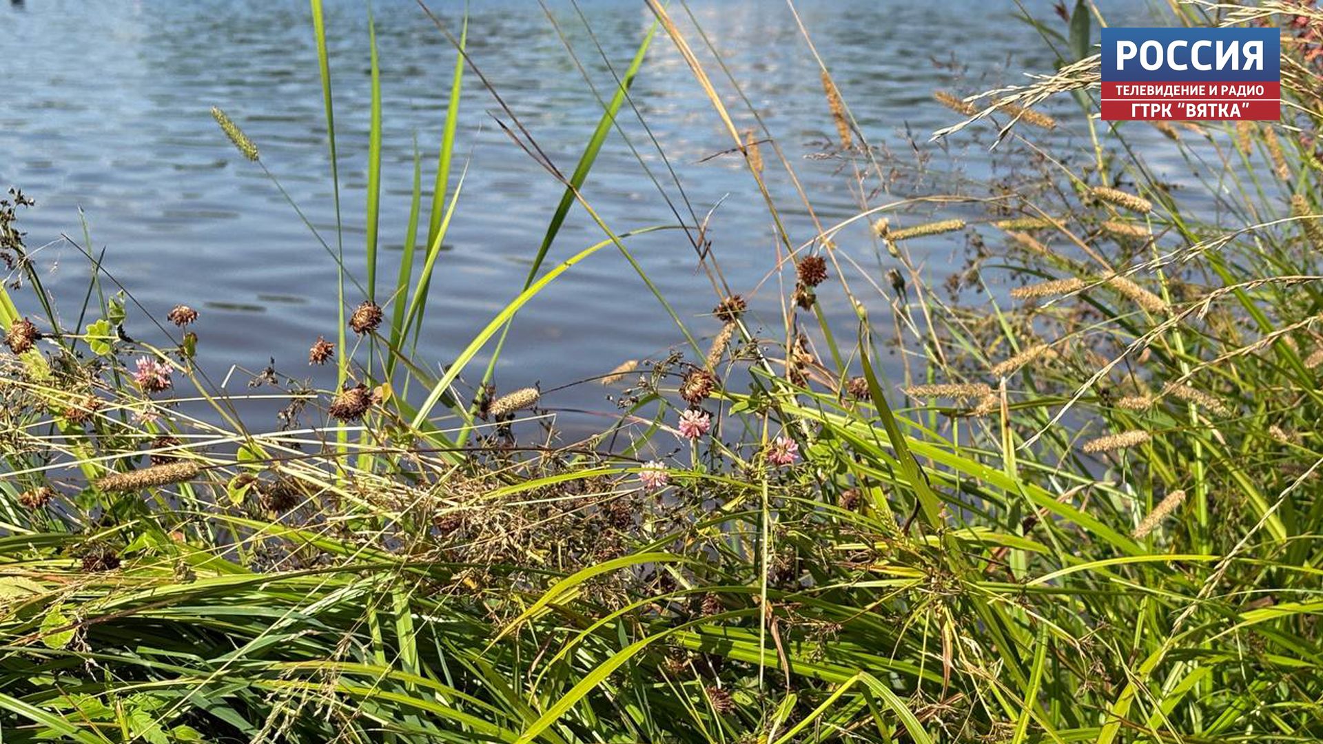 Региональное минэкологии контролирует ситуацию с загрязнением реки Юг