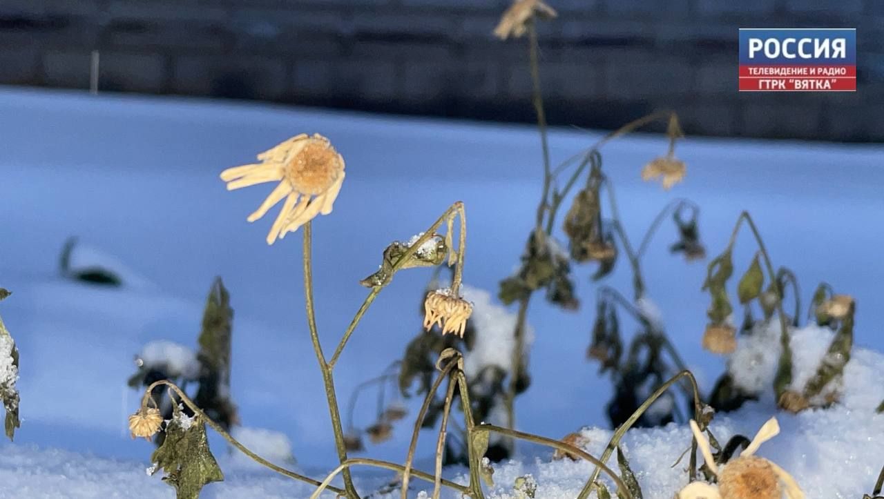 В понедельник в Кирове возможен снег и до -14