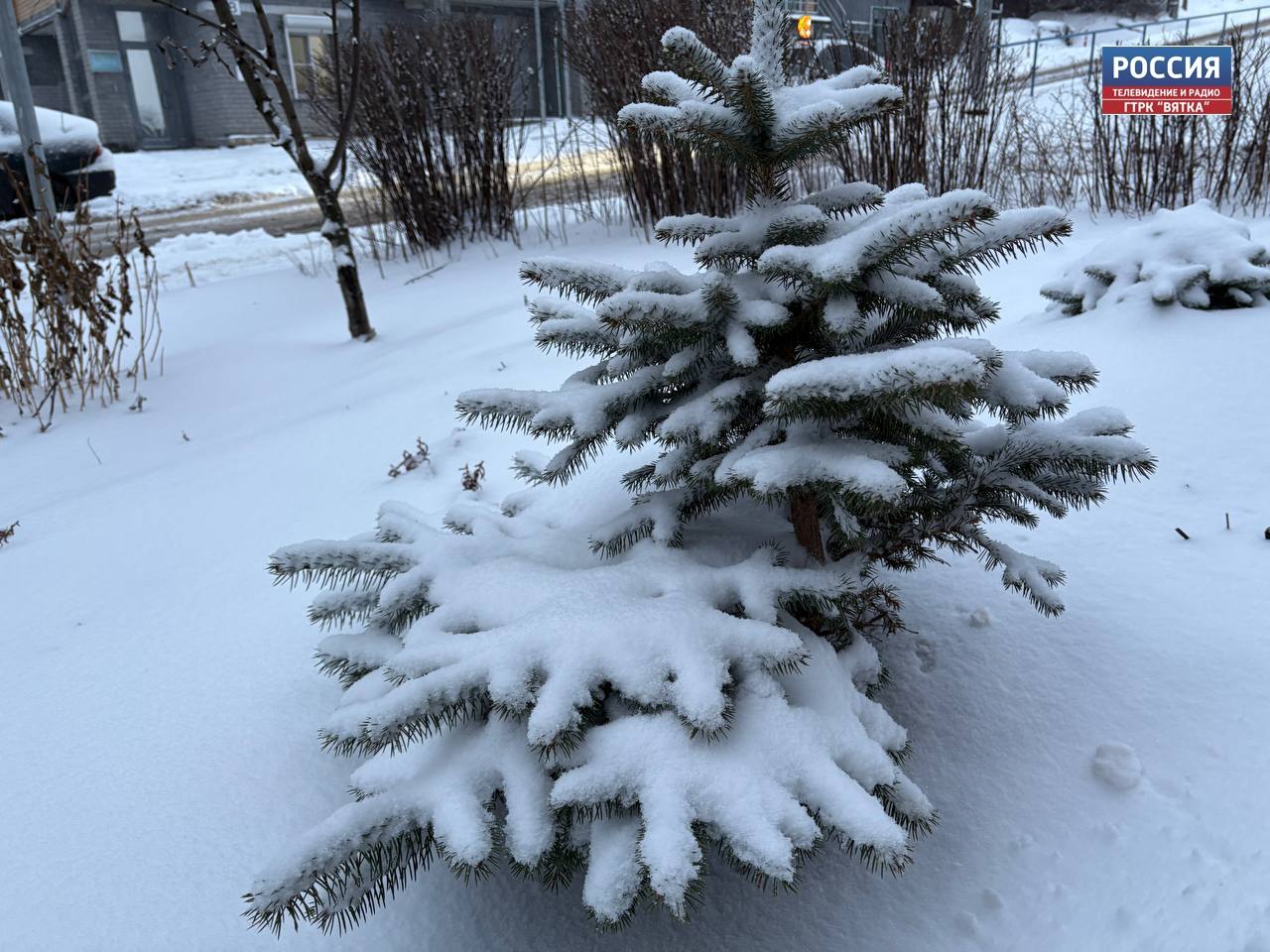 В субботу, 13 декабря, в Кировской области ожидается до -23 °C