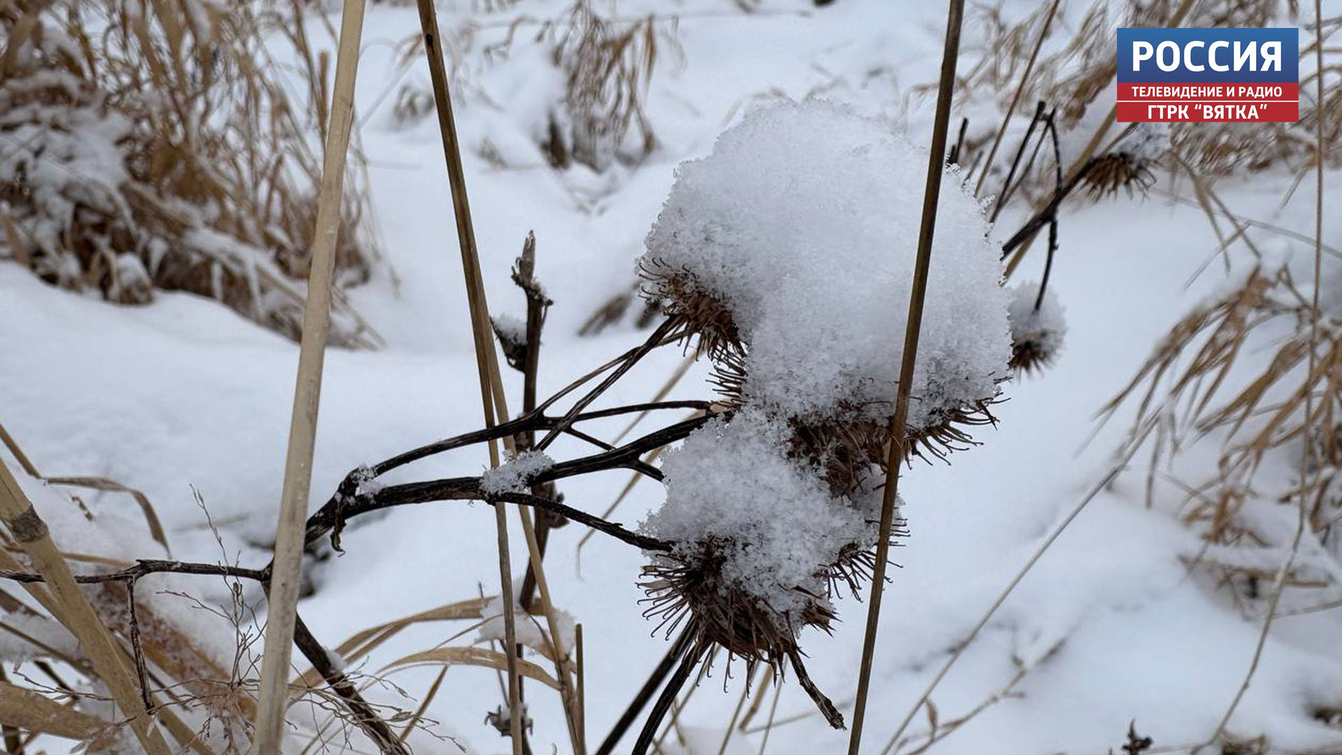 В четверг в Кировской области ожидается небольшой снег