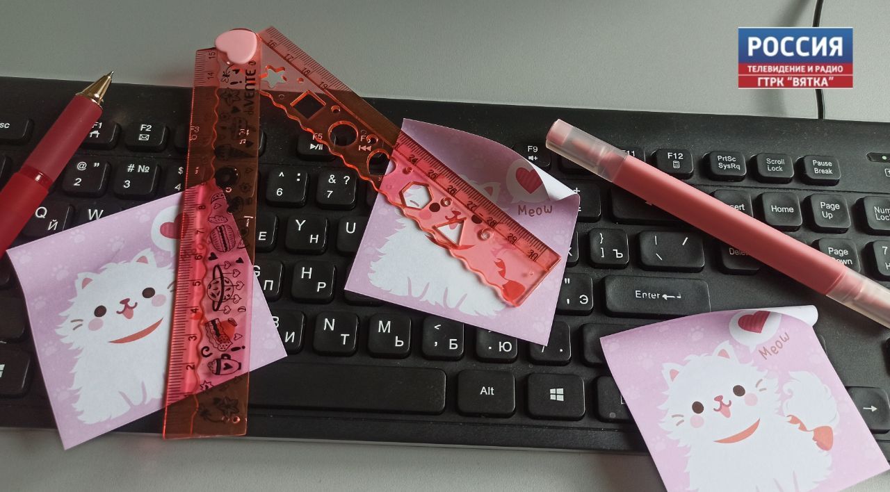 Кировские школьники заняли призовые места за разработку игры с интерактивным кабинетом Пушкина