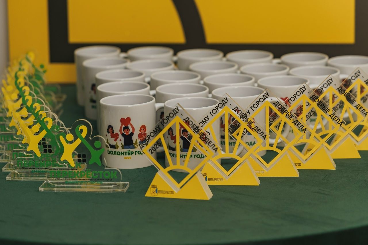 В регионе выбрали лучших добровольцев 2025 года