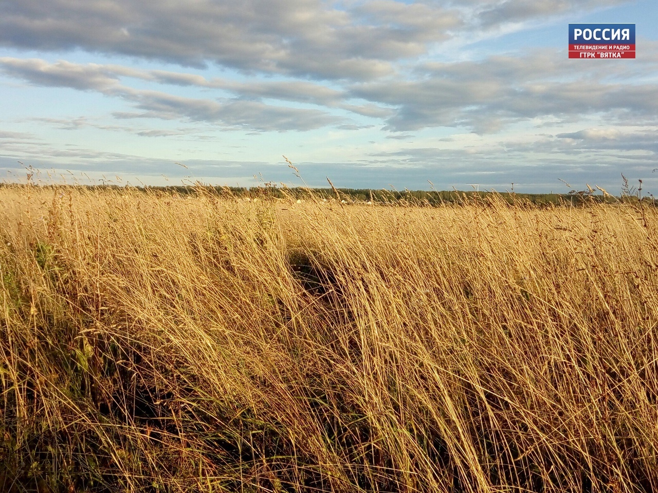 Участники СВО могут встать на «Госуслугах» на учёт для получения земельного участка
