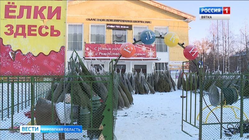 Через 10 дней в Кирове откроются елочные базары