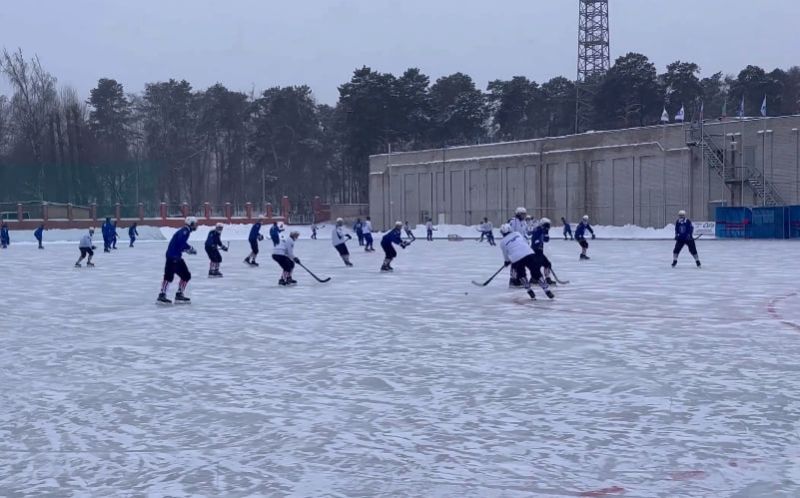Хоккейная команда «Родина» одержала победу в матче в Казани