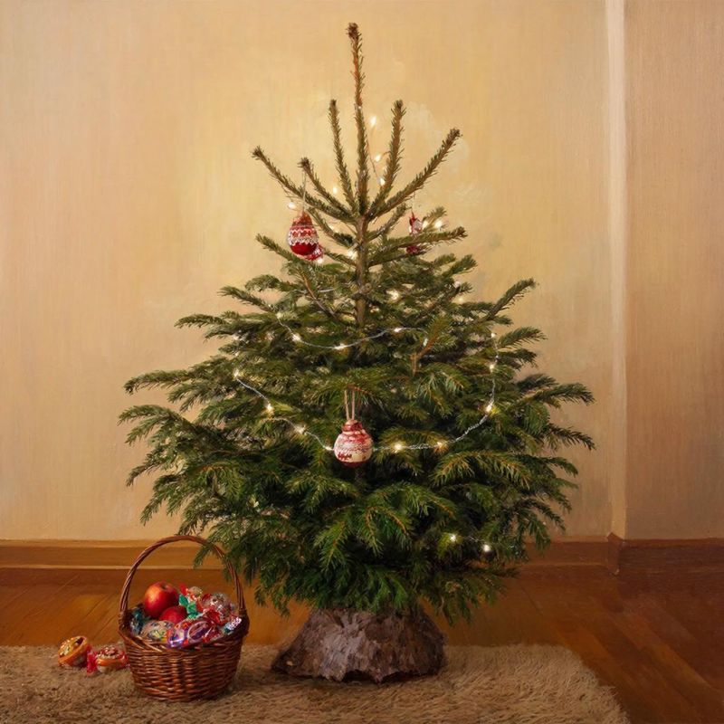 Клещей на ёлках домой зимой не принести