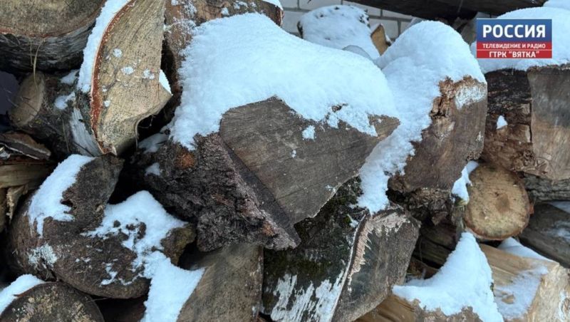 В Кировской области мужчину на 3 года осудили за незаконную рубку леса