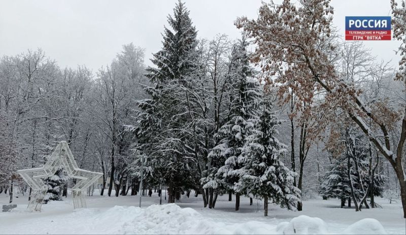 Небольшой снег и -12 °C прогнозируют в последний день 2025 года в Кирове