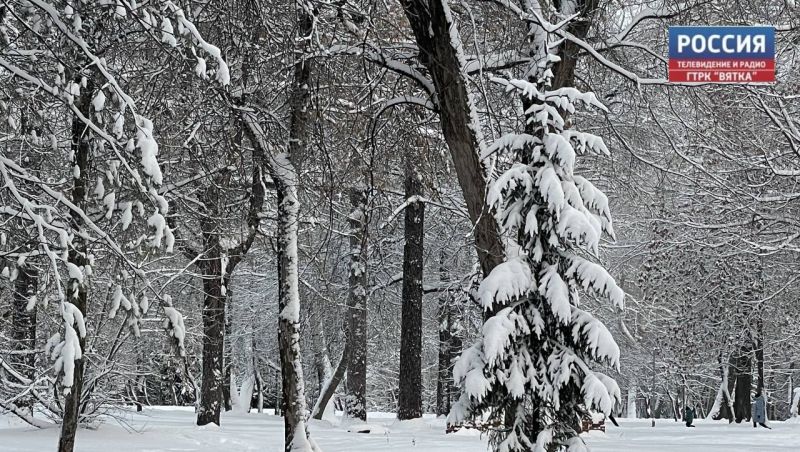 В понедельник в Кирове без существенных осадков и до -20