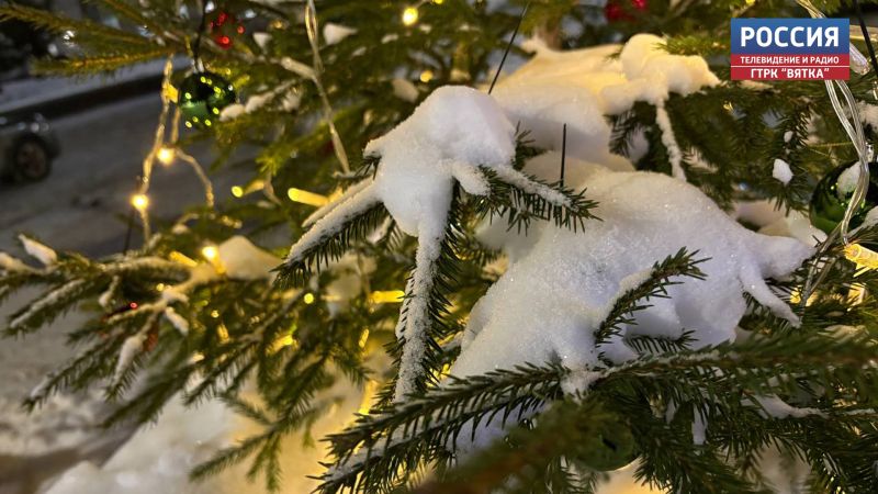 В Весёлое прибыли новогодние ели и подарки из Кировской области