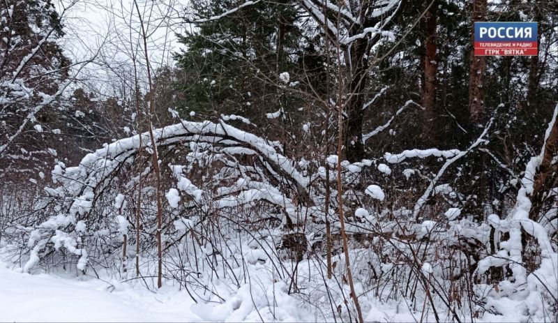 Комфортную зимнюю погоду синоптики прогнозируют в воскресенье
