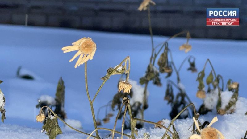 В понедельник в Кирове возможен снег и до -14