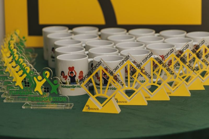 В регионе выбрали лучших добровольцев 2025 года