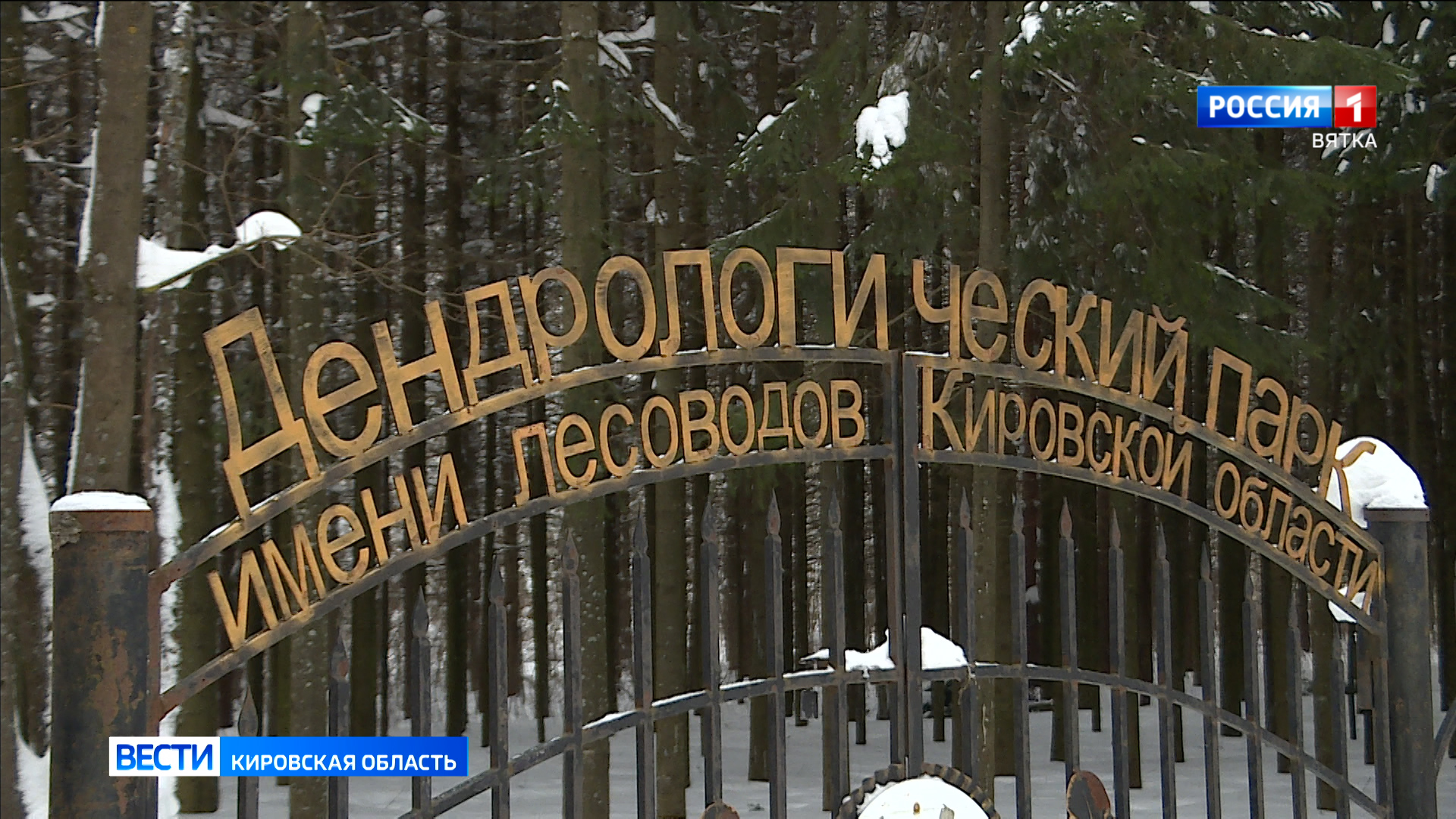 Кировский дендропарк ждёт масштабное благоустройство