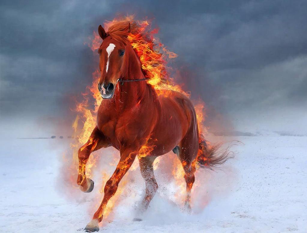 2026 год — Красной Огненной Лошади