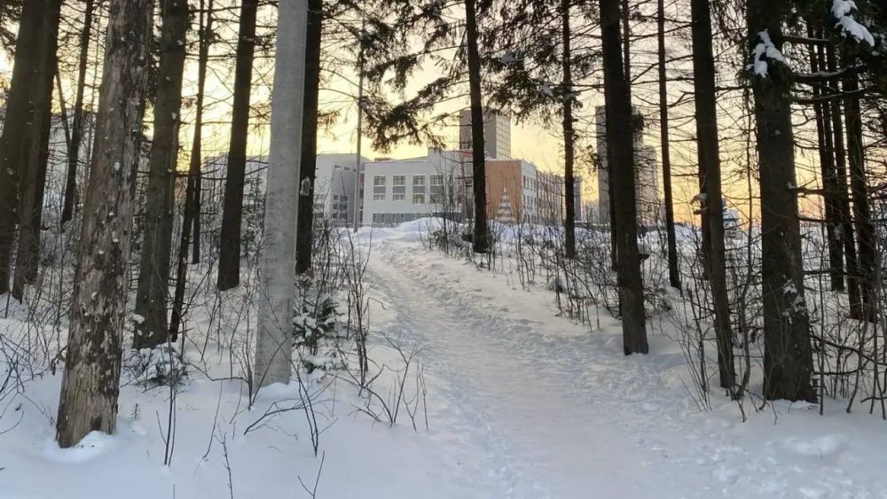 В Кирове осветили путь к школе в Садаках и спорткомплексу в Вересниках