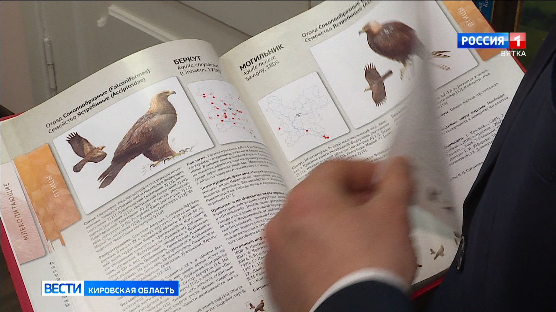 Красную книгу региона планируют выпустить в 2026 году