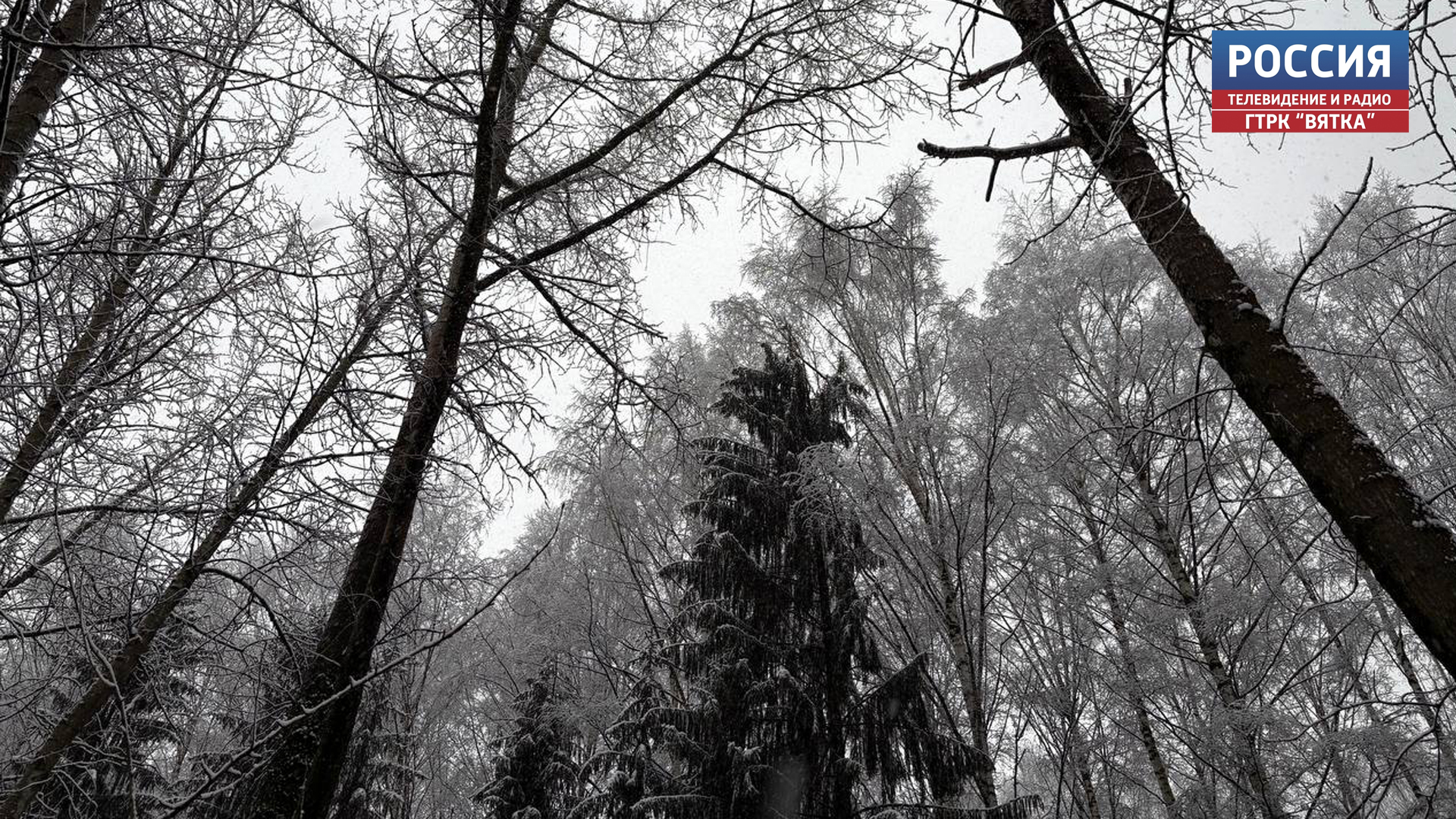 В пятницу в Кировской области ожидается небольшой снег