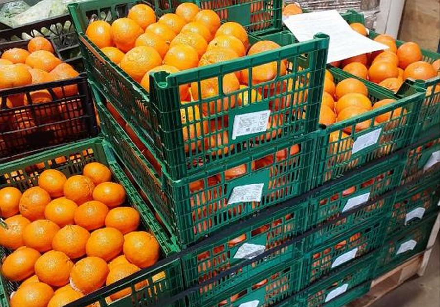 В Кирове обнаружили карантинных вредителей в 4,75 тонны марокканских мандаринах