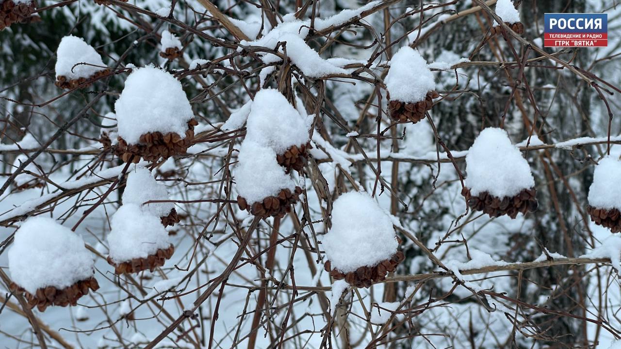 В Кировской области в среду прогнозируют  до  -14 °C и снег