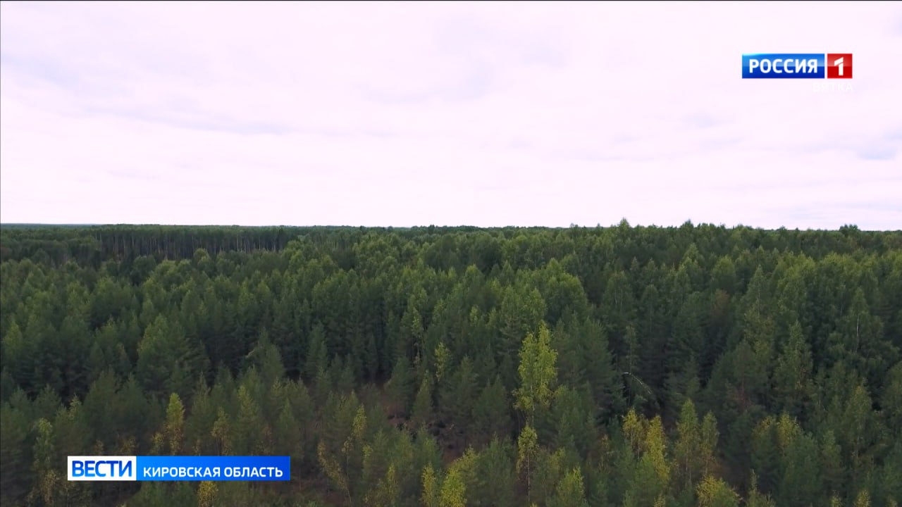 Беспилотники помогают беречь леса Кировской области от пожаров