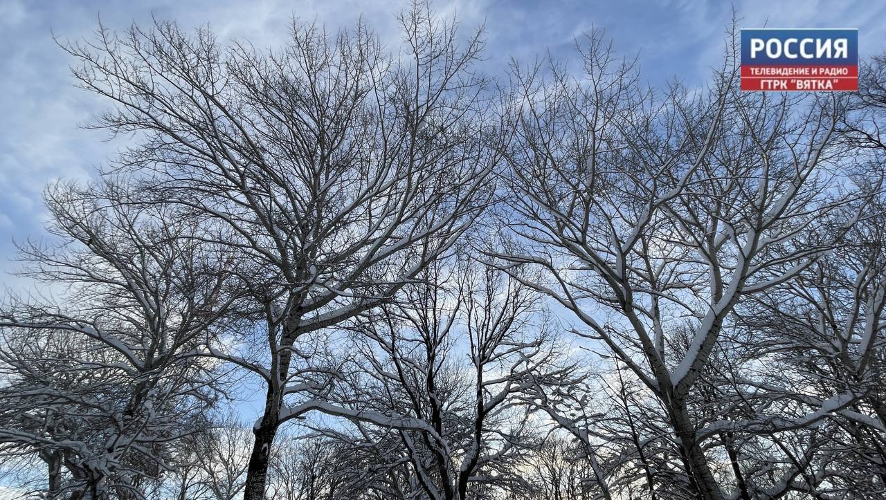 Облачная с прояснениями погода ожидается в  Кировской области в среду