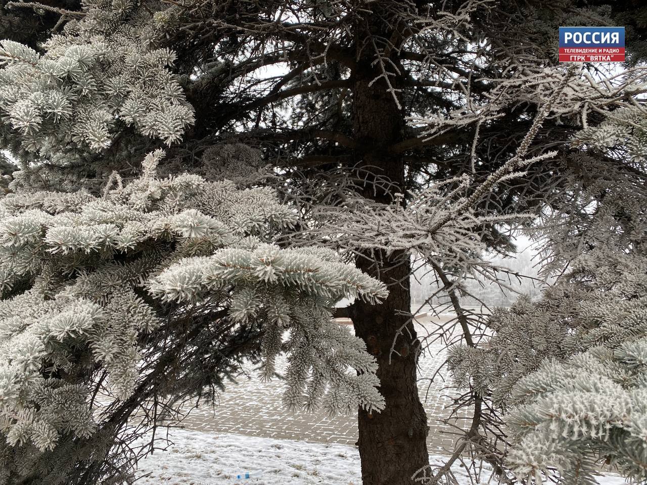 Специалисты рассказали, чем опасна изморозь