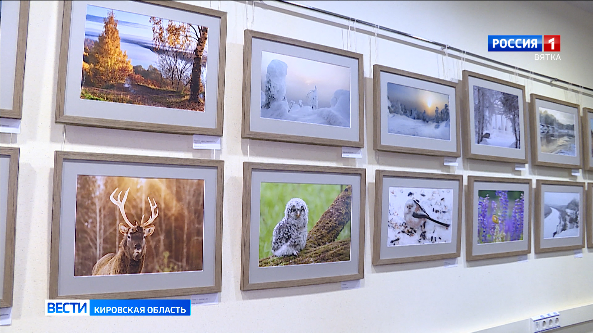 В Герценке открылась фотовыставка «Очарование реальностью»