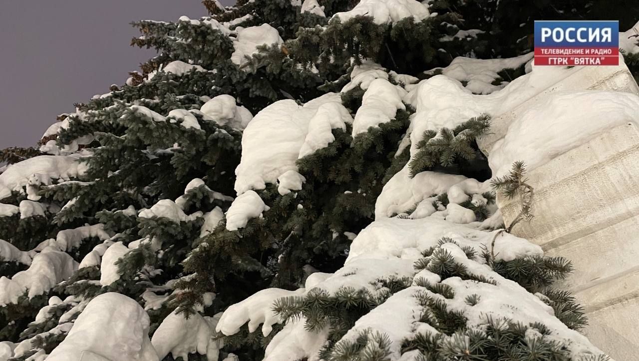 Кировчанам напоминают, что делать при первых признаках обморожения