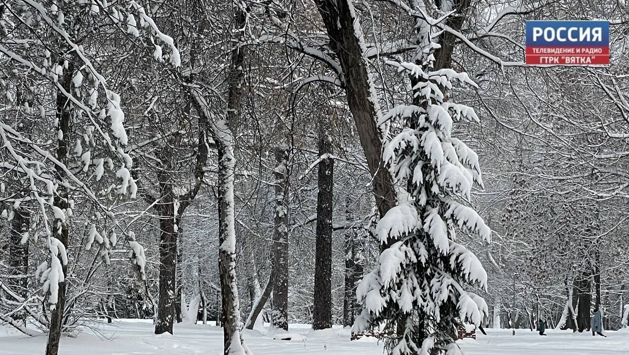 С 22 января в Кировскую область придут морозы