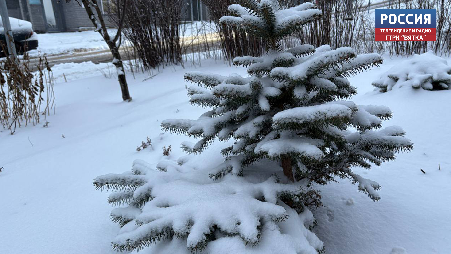 В понедельник в Кировской области ожидается небольшой снег