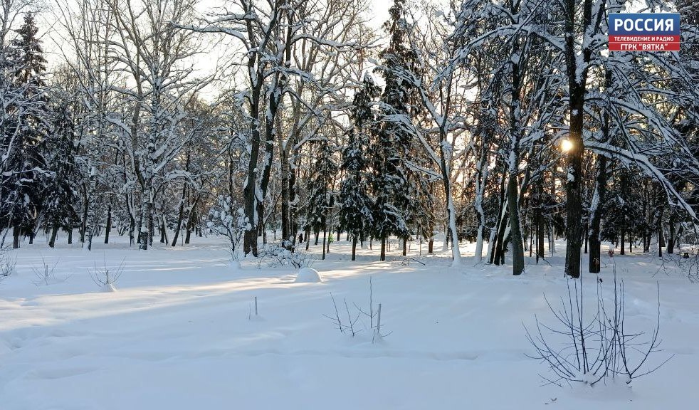 Жителей Кировской области ждут морозы, после которых придет новая волна снегопадов