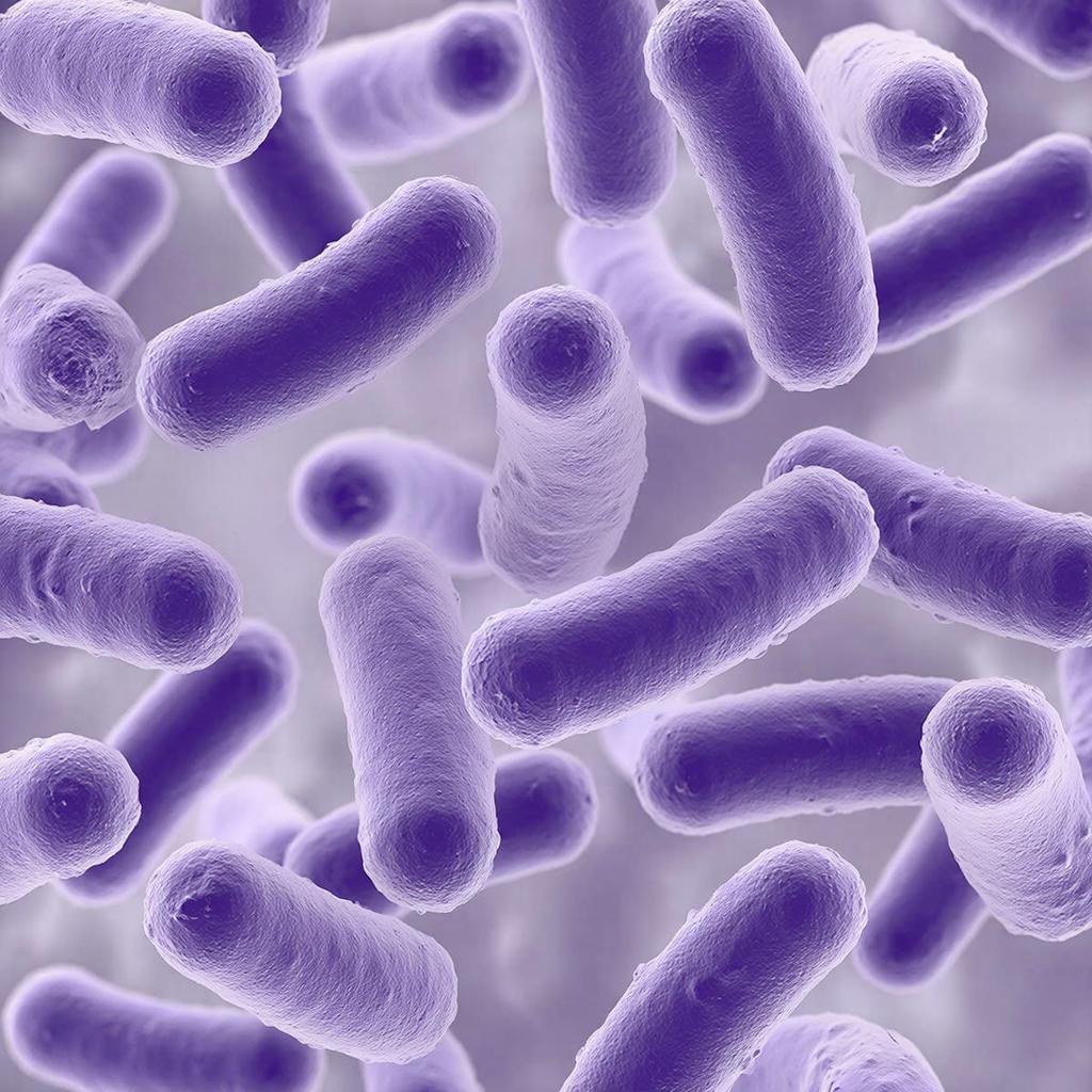 Кировского предпринимателя оштрафовали за выявление листерии в мясных полуфабрикатах