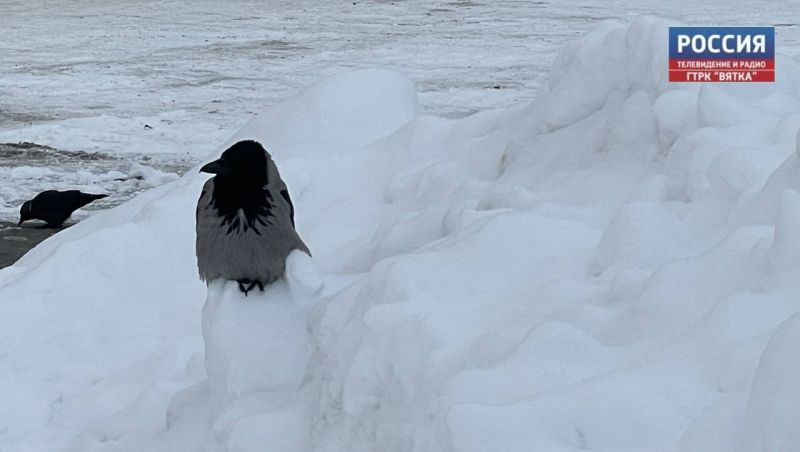В субботу в Кировской области обещают до -15 градусов