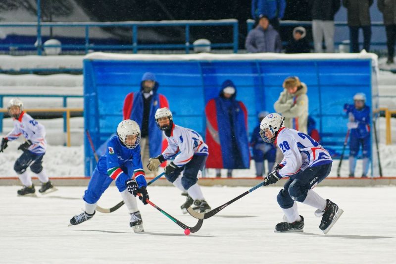 Хоккеисты «Родины-2011» завоевали бронзу межрегиональных соревнований