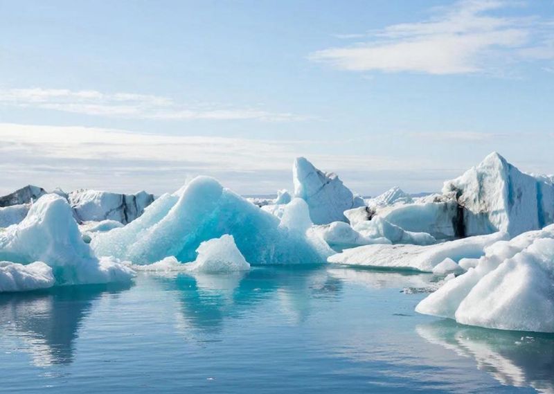 Подо льдом Антарктиды ученые обнаружили ранее неизвестные формы жизни