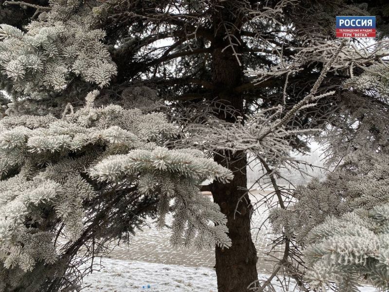 Специалисты рассказали, чем опасна изморозь