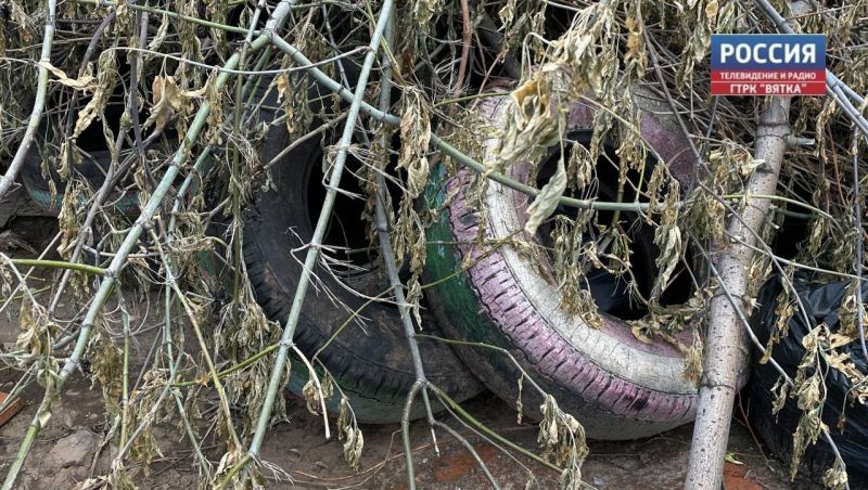 В райцентрах региона в 2026 году могут установить пункты приема старых шин