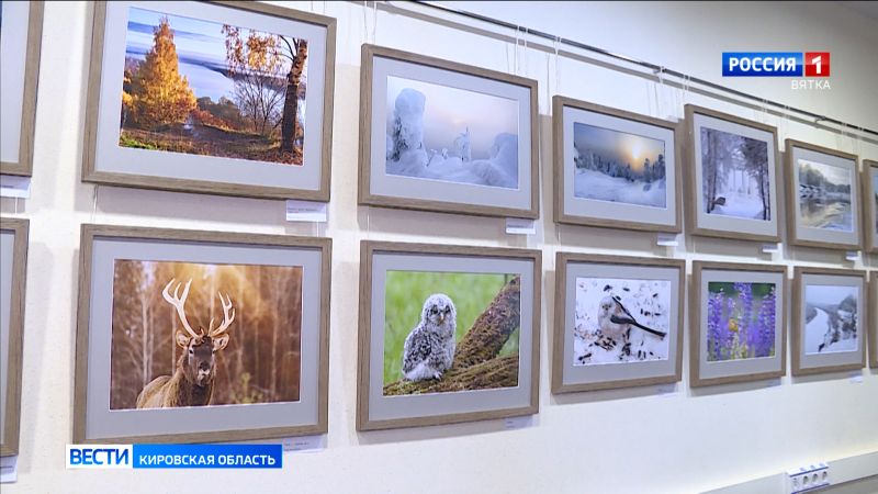 В Герценке открылась фотовыставка «Очарование реальностью»