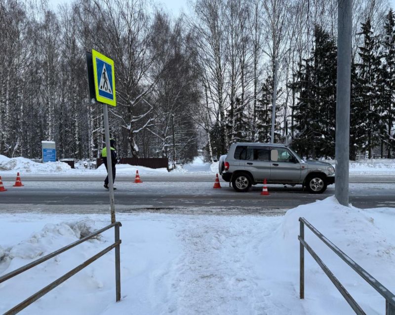 В Кирове возле дендропарка сбили 12-летнюю девочку