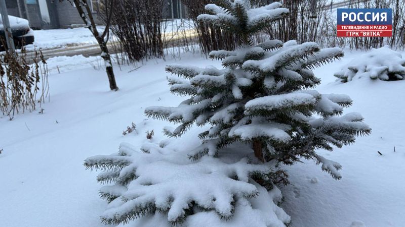В понедельник в Кировской области ожидается небольшой снег