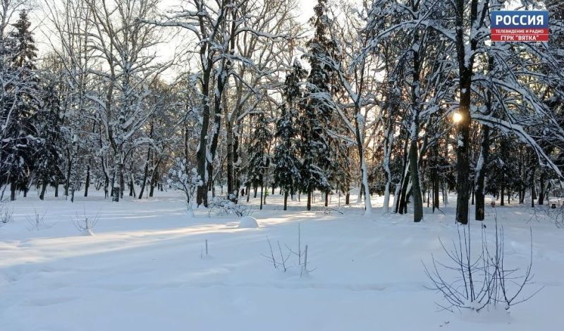 Жителей Кировской области ждут морозы, после которых придет новая волна снегопадов