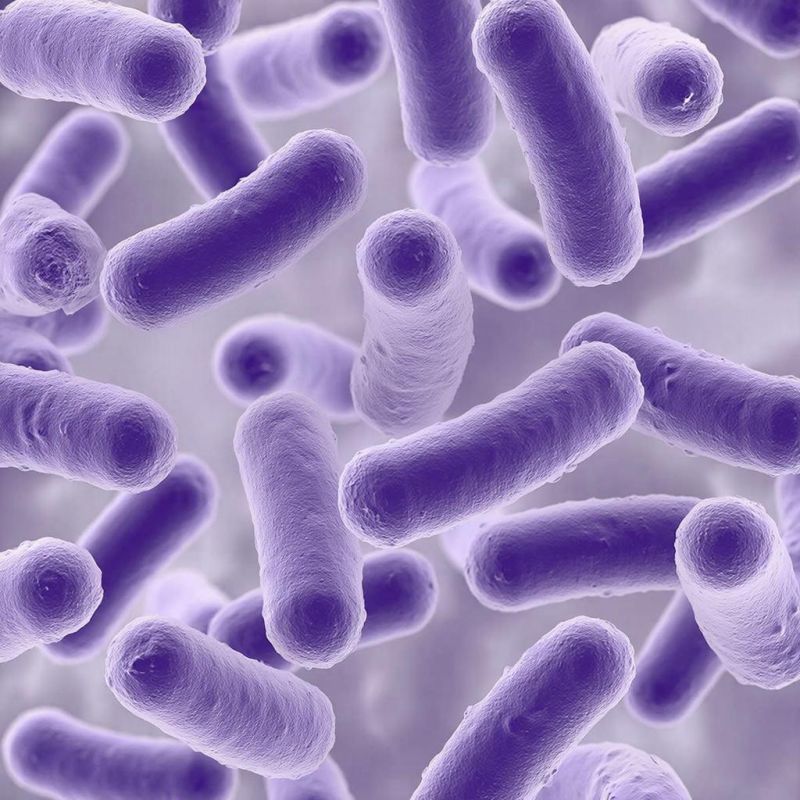 Кировского предпринимателя оштрафовали за выявление листерии в мясных полуфабрикатах