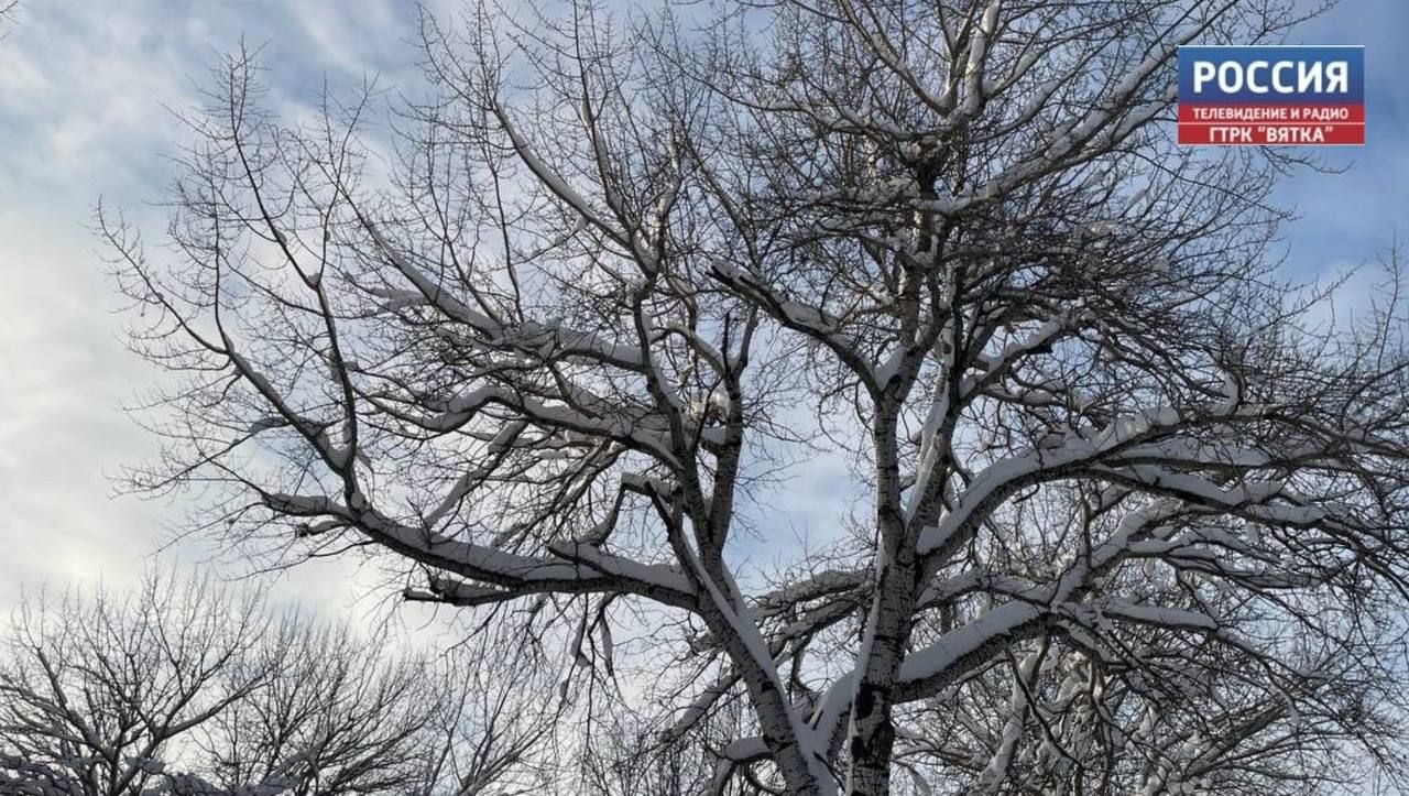 В пятницу в Кирове прогнозируют 0°C и мокрый снег на протяжении всего дня