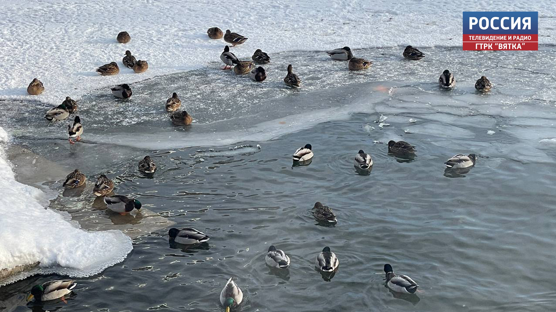 В среду в Кировской области обещают до -22 градусов